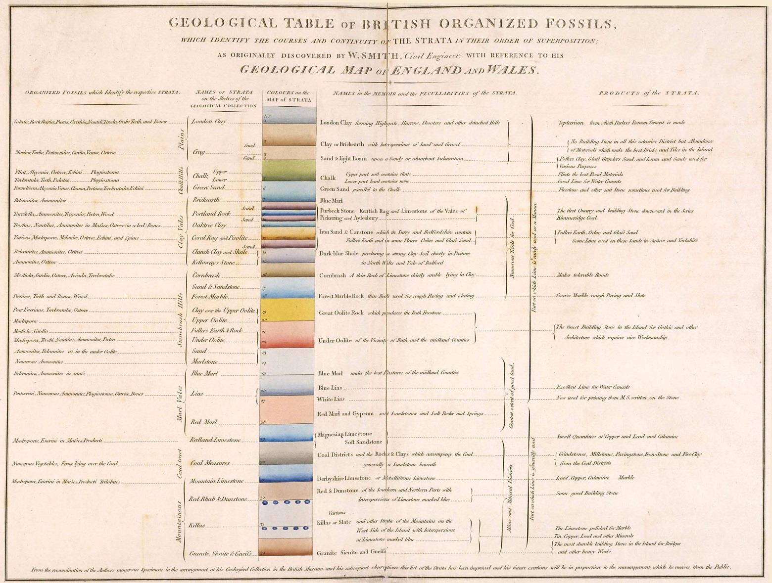 Stratigraphic Fossil Collection