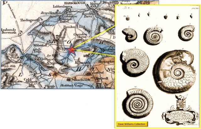 Illustration of Liassic Ammonites from the Clipston Stone-Pit